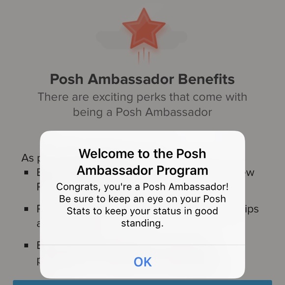 🎉🍾🤩POSH AMBASSADOR🤩🍾🎉 - Picture 3 of 3